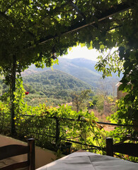 Old Peritheia Tavern, Corfu, Greece 