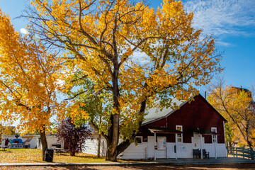 Community meeting hall, Rowley Ghost Town. Rowley, Alberta, Canada