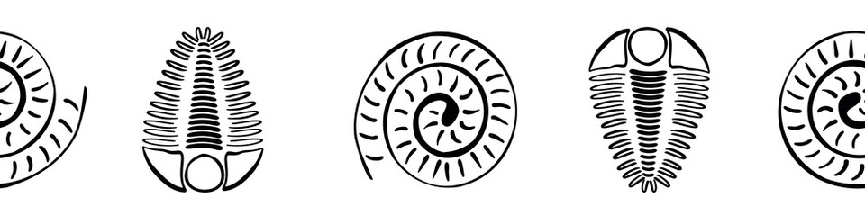 Ammonite trilobite vector seamless border. Hand drawn banner of spiral-form shell cephalopod and arthropod ribbed fossils. Monochrome backdrop.Extinct marine predators. For museum, edging, trim © Gaianami  Design