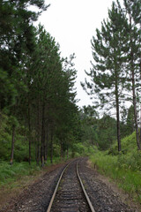 Fototapeta premium The train tracks in the middle of the Atlantic Forest forest in the city of Apiaí, São Paulo, Brazil.