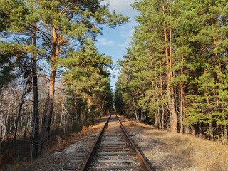 Fototapeta premium Old railway through a pine forest.