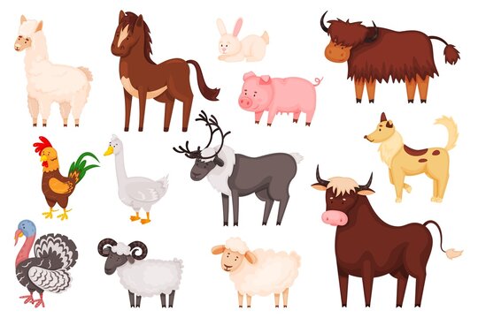 Cartoon farm animals and birds, cute domestic animal characters. Sheep, goat, pig, rabbit, dog, horse, turkey, livestock farming vector set. Wild fauna, isolated bison, deer and bull