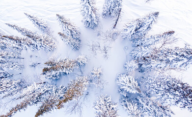 Aerial top view frozen forest, winter landscape scene