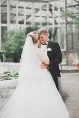 Fototapeta premium Happy wedding couple walking in a botanical park