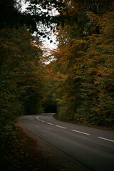 Fototapeta premium Autumn road in the woods. A good asphalt road that goes through the forest is empty.