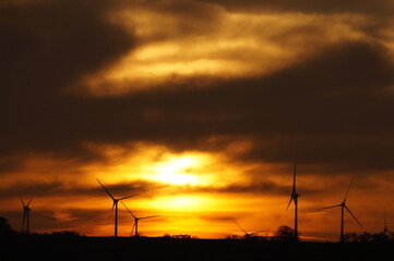 Fototapeta premium Windkrafträder im Sonnenuntergang 