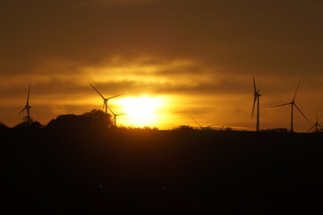 Fototapeta na wymiar Windkrafträder im Sonnenuntergang 