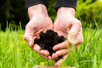 close-up of a man`s hands in the hands of an adult holding a dark moist soil. Ecology, landscaping, environmental protection. Selective focus. concept eco earth day