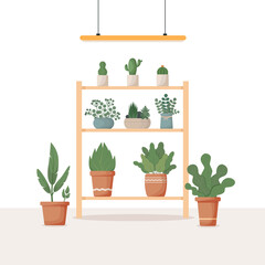 Garden rack with potted flowers. Flower rack, greenhouse interior, Home garden, succulents, flowers, potted plants. For posters, banners, and postcards. Cartoon vector illustration 