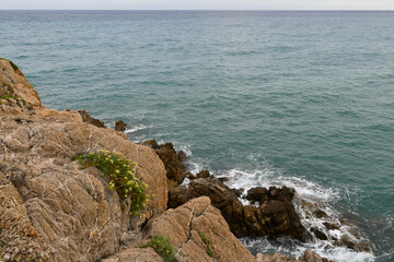 Fototapeta na wymiar View from the top of a rocky cliff with wild flowers and the Liguria Sea in the background, Alassio, Savona, Liguria, Italy