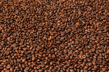 Fresh roasted coffee beans background. Selective focus. Copy space