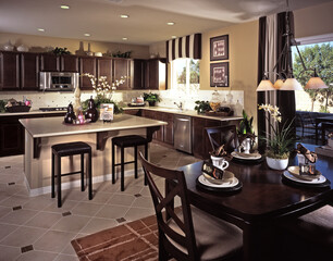 modern kitchen interior of new house