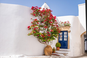 Whitewashed house blue door red bougainvillea in amphora at Kythira island Chora village Greece