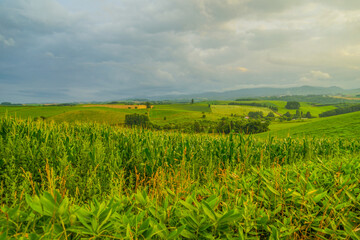 北海道の草原と夕景