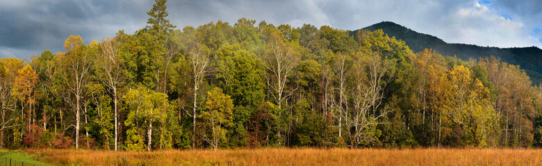 656-61 Cades Cove Forest Edge Pano