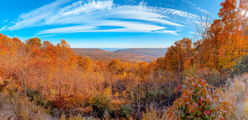 Fototapeta premium Fall Autumn foliage during October.