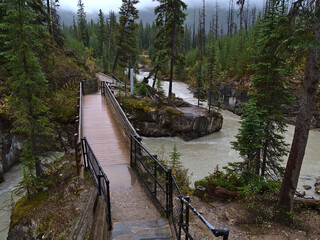 Hiking trail leading to Marble Canyon in Kootenay National Park, Canada in the Rocky Mountains with...