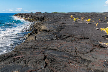 Sea Cliffs Formed by Recent Lava Flows on Kaimu Black Sand Beach, Hawaii Island, Hawaii, USA