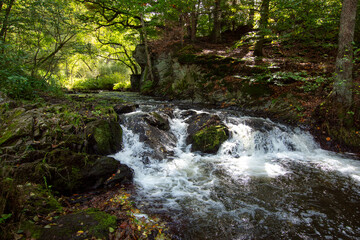 Selketal, Harz, Bach , Schlucht