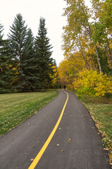 A Hiking Trail in Autumn