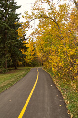 Obraz premium A Hiking Trail in Autumn