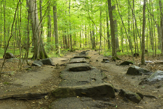 Walking path at Devils lake State Park