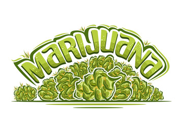 Vector logo for Marijuana, horizontal poster with illustration of ounce marijuana buds and cartoon isolated dried cannabis flower, unique brush lettering for green word marijuana on white background.