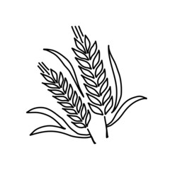 Vector illustration, wheat on a white background.