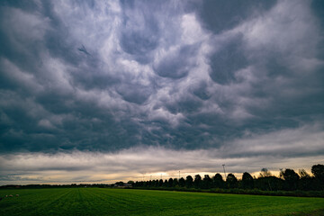 Obraz premium Dramatic sky with mammatus or bubble clouds at the leading edge of a cold front over the western part of Holland