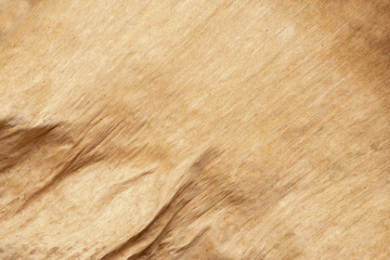 Obraz premium dead leaf background texture. pattern of dried banana leaf. Vintage natural at autumn season.