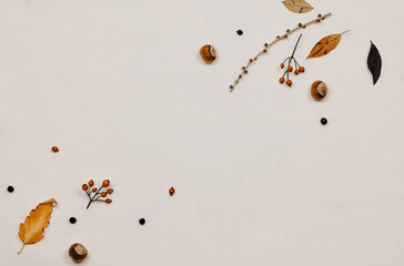 Autumn composition. made of cotton flowers, dried leaves on pastel gray tones. Autumn, fall concept. Flat lounger, top view, copy space