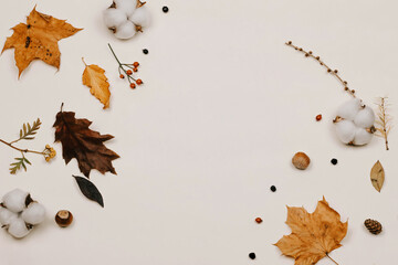 Autumn composition. made of cotton flowers, dried leaves on pastel gray tones. Autumn, fall concept. Flat lounger, top view, copy space