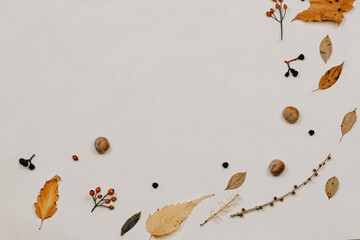 Autumn composition. made of cotton flowers, dried leaves on pastel gray tones. Autumn, fall concept. Flat lounger, top view, copy space