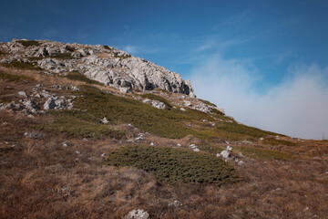 Fototapeta na wymiar Cloud covering the top of a mountain. Atmospheric view to rocky mountains with juniper trees in dense fog. mountain Crimea, above the clouds