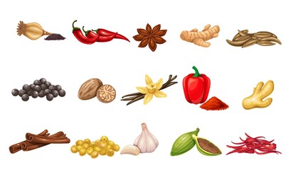 Culinary spices and condiments. Peppercorns, bay leaf, cardamom, chili, cumin, garlic, ginger and mustard. Oregano, thyme, turmeric, saffron threads, star anice, marjoram, nutmeg, anice and poppy