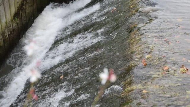 Narbonne, Aude, Languedoc, Occitanie : d&eacute;versoir du canal de la Robine, en centre-ville.