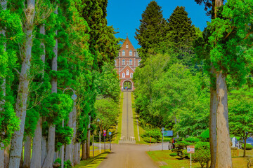 Fototapeta premium トラピスト修道院と杉並木道