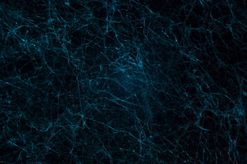 blue texture network abstraction natural mycelium mold neurons