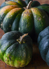 Harvest pumpkin on the table, ripe green variety.