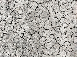 Dry ground in cracks. Background. The concept of global warming and the absence of rain. High quality photo