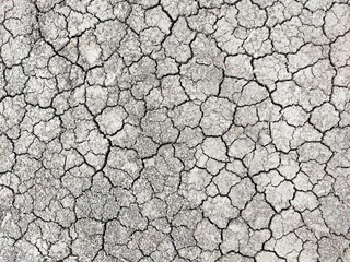 Dry ground in cracks. Background. The concept of global warming and the absence of rain. High quality photo