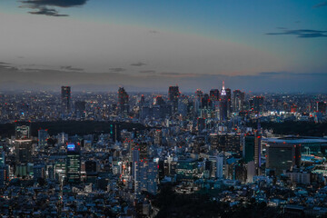 東京都心の夜景