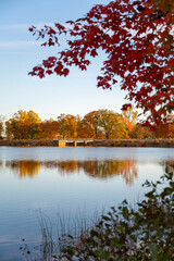 Fall autumn foliage during October