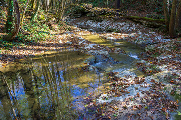 Autumn in the mountains, a mountain river, a calm current, a sunny morning, fallen leaves, with a reflection in the water.