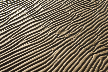 Fototapeta na wymiar ripples of sand
