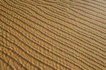 ripples of sand
