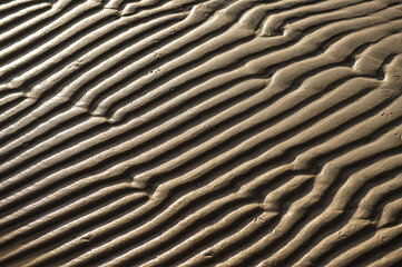 ripples of sand