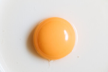Macro close up of raw egg yolk