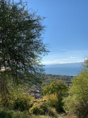 Obraz premium Amazing view down from the hill, autumn colors of the trees
