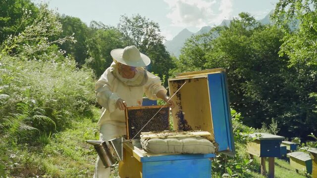 Happy Professional beekeeper in protective hat is busy on apiary. Woman Bee master works near bee hives in summer. Apiary and honey making, small agricultural business and hobby